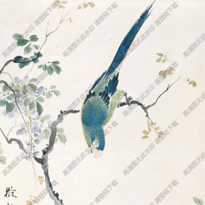 江寒汀國(guó)畫作品 鸚鵡 高清下載