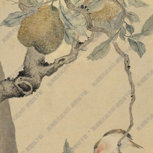 江寒汀國(guó)畫作品 幽禽珍果圖 高清下載