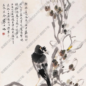 江寒汀國(guó)畫作品 玉蘭八哥 高清下載