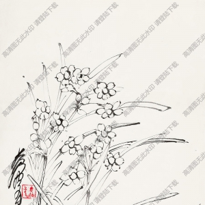 黃胄國畫 白描水仙 高清大圖下載