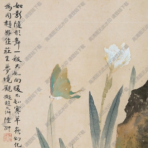 陸抑非國畫 花蝶 高清大圖下載