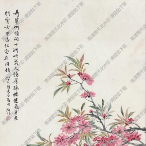 陸抑非國(guó)畫(huà)作品 桃花八哥 高清下載