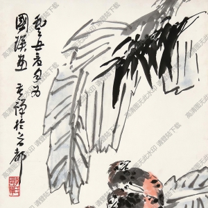 李苦禪國(guó)畫_芭蕉花下三只鵪鶉_高清大圖下載