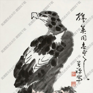 李苦禪國(guó)畫_蒼鷹高瞻圖_高清大圖下載