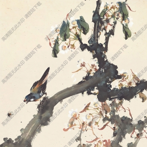 趙少昂作品 梨花小鳥(niǎo) 高清大圖下載