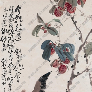 趙少昂作品 荔枝小鳥(niǎo) 高清大圖下載