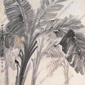 趙望云國畫 芭蕉林中 高清大圖下載