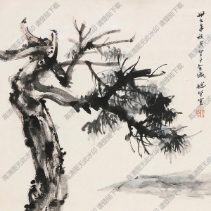趙望云國畫作品 西北老漢 高清下載