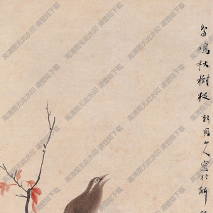 華巖作品 鳥(niǎo)鳴秋樹(shù)圖 高清大圖下載