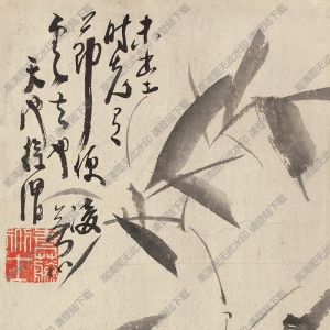 徐渭的畫(huà) 竹子 高清大圖下載