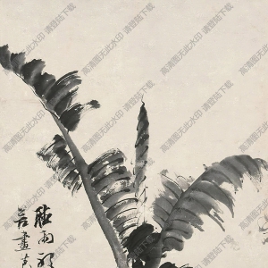 徐渭國(guó)畫(huà) 芭蕉壽石 高清大圖下載