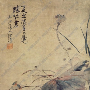 徐渭國(guó)畫(huà) 荷塘小鳥(niǎo) 高清大圖下載