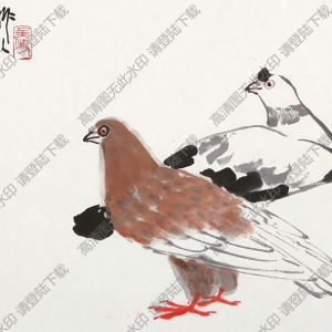 吳作人國畫作品 雙鴿 高清下載