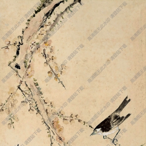 陳樹人國(guó)畫 寒梅花鳥 高清大圖下載