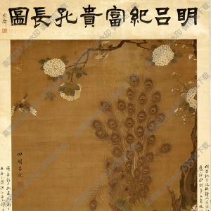 呂紀(jì)國畫 富貴孔長圖 高清大圖下載