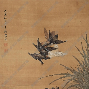 呂紀(jì)國畫 蘆汀聚雁圖 高清大圖下載