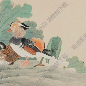 陳佩秋國(guó)畫作品 鴛鴦嘉藕圖 高清下載