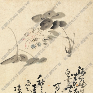 黃慎國(guó)畫 芙蓉 高清大圖下載