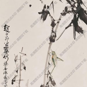 楊善深作品 梅蘭竹草蟲(chóng) 高清大圖下載
