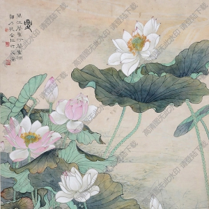蔡鶴汀國(guó)畫作品 荷花鴛鴦 高清下載