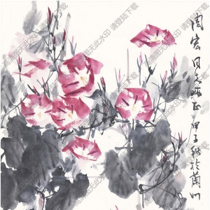 王天一國(guó)畫(huà) 紅牽牛 高清大圖下載