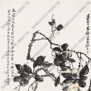 馮超然國(guó)畫 花卉 高清大圖下載