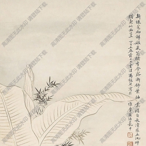 馮超然國(guó)畫 蕉蔭仕女 高清大圖下載