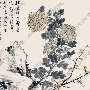 馮超然國(guó)畫 菊石圖 高清大圖下載