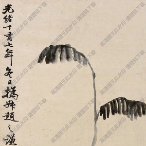 趙之謙國(guó)畫 香芋圖 高清大圖下載