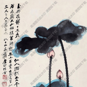 張大千作品_潑彩荷花_玉井花開十丈長(zhǎng)_高清大圖下載