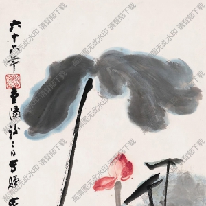 張大千作品_荷花_六十六年重陽后二日寫贈_高清大圖下載