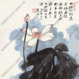 張大千國畫_彩墨荷花_白板小橋通碧塘_高清大圖下載