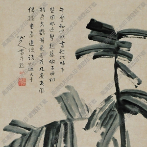 八大山人國(guó)畫(huà)作品_墨貓芭蕉圖_高清下載