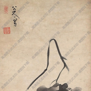 八大山人國(guó)畫(huà)作品_葡萄雙鳥(niǎo)圖_高清下載