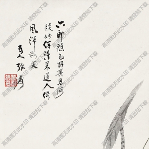張大千作品_荷花_伴得采蓮人_倚風(fēng)渾欲笑_高清大圖下載