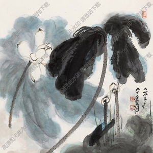 張大千作品_荷花_己亥五月作_大千居士爰_高清大圖下載