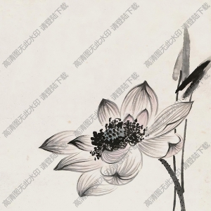 張大千作品_潑墨荷花_根老子香兩奇絕_高清大圖下載