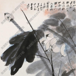 張大千作品_荷花_葉嫩花嬌月上初_已亥秋日作_高清大圖下載