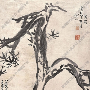 八大山人國畫_孤松圖_高清大圖下載
