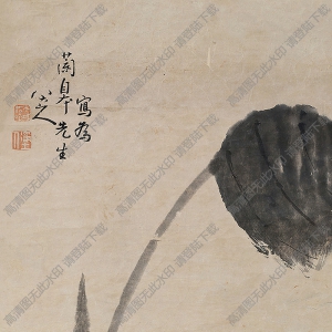 八大山人國畫_雪芋圖_高清大圖下載