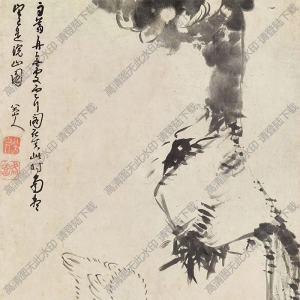 八大山人國畫作品_鷺石圖_高清下載