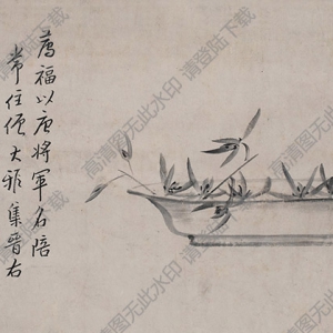 八大山人國畫作品_盆蘭圖_高清下載