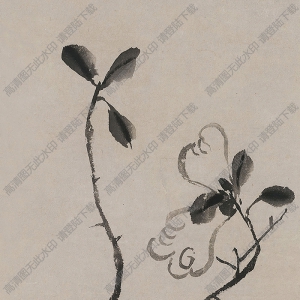 八大山人國畫作品_瓶花圖_高清下載