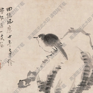 八大山人國畫作品_山石小鳥_高清下載