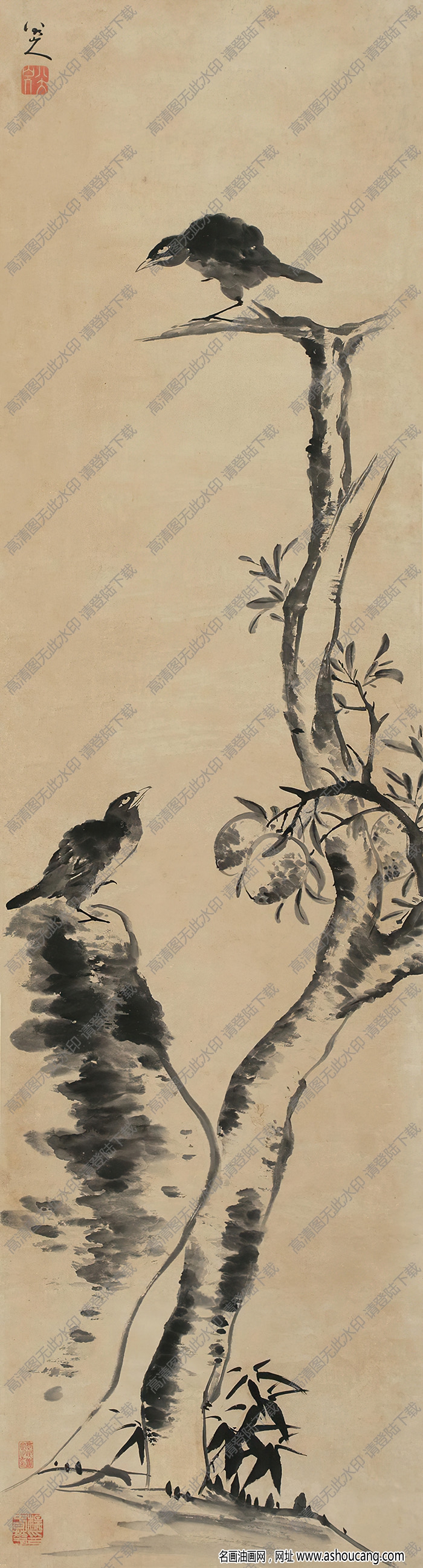 八大山人國(guó)畫(huà)作品 雙禽圖 高清下載
