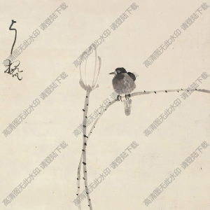 八大山人作品_荷花逸趣_高清大圖下載