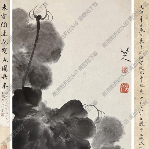 八大山人作品_荷塘游魚圖_高清大圖下載