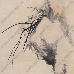八大山人作品_蘭石_高清大圖下載