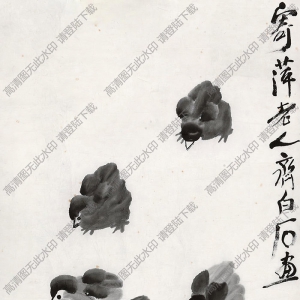 齊白石國畫_一群雛雞覓食圖_高清大圖下載