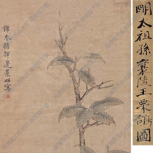 邊景昭國(guó)畫(huà) 花鳥(niǎo) (4) 高清大圖下載